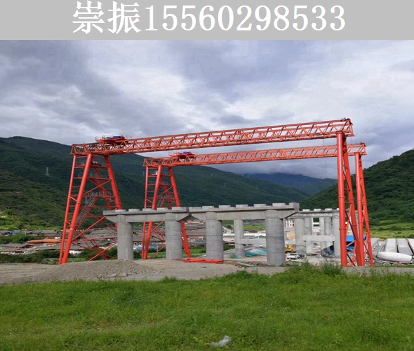 柳州100吨龙门吊