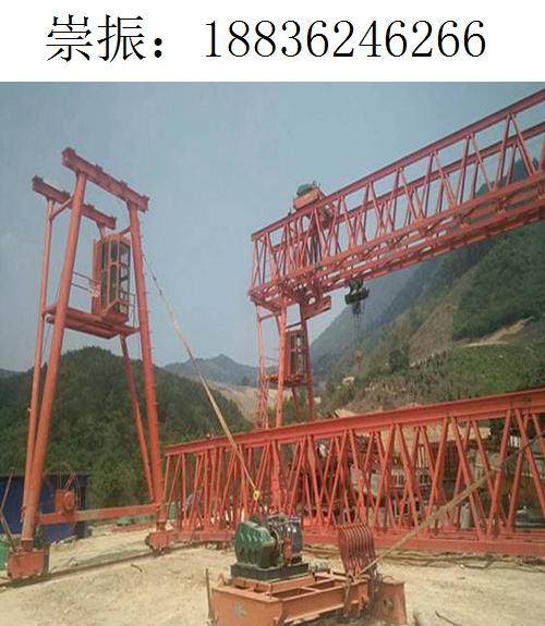 6266崇振龙门吊271