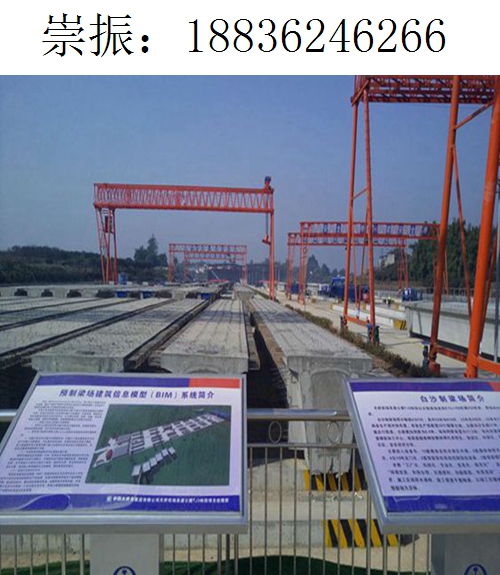 6266崇振龙门吊272
