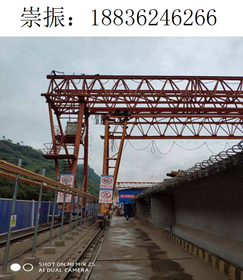 6266崇振龙门吊267